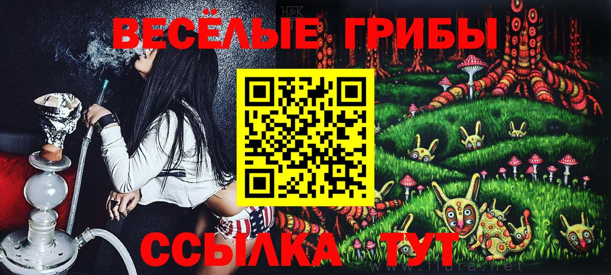 Галлюциногенные грибы мицелий  Вход с VPN  Мичуринск 