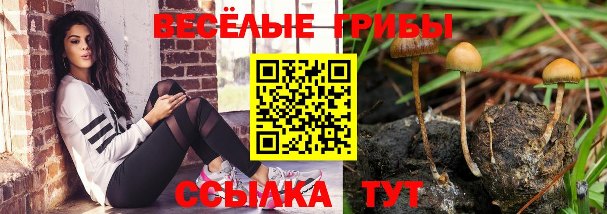 Галлюциногенные грибы прущие грибы Мичуринск